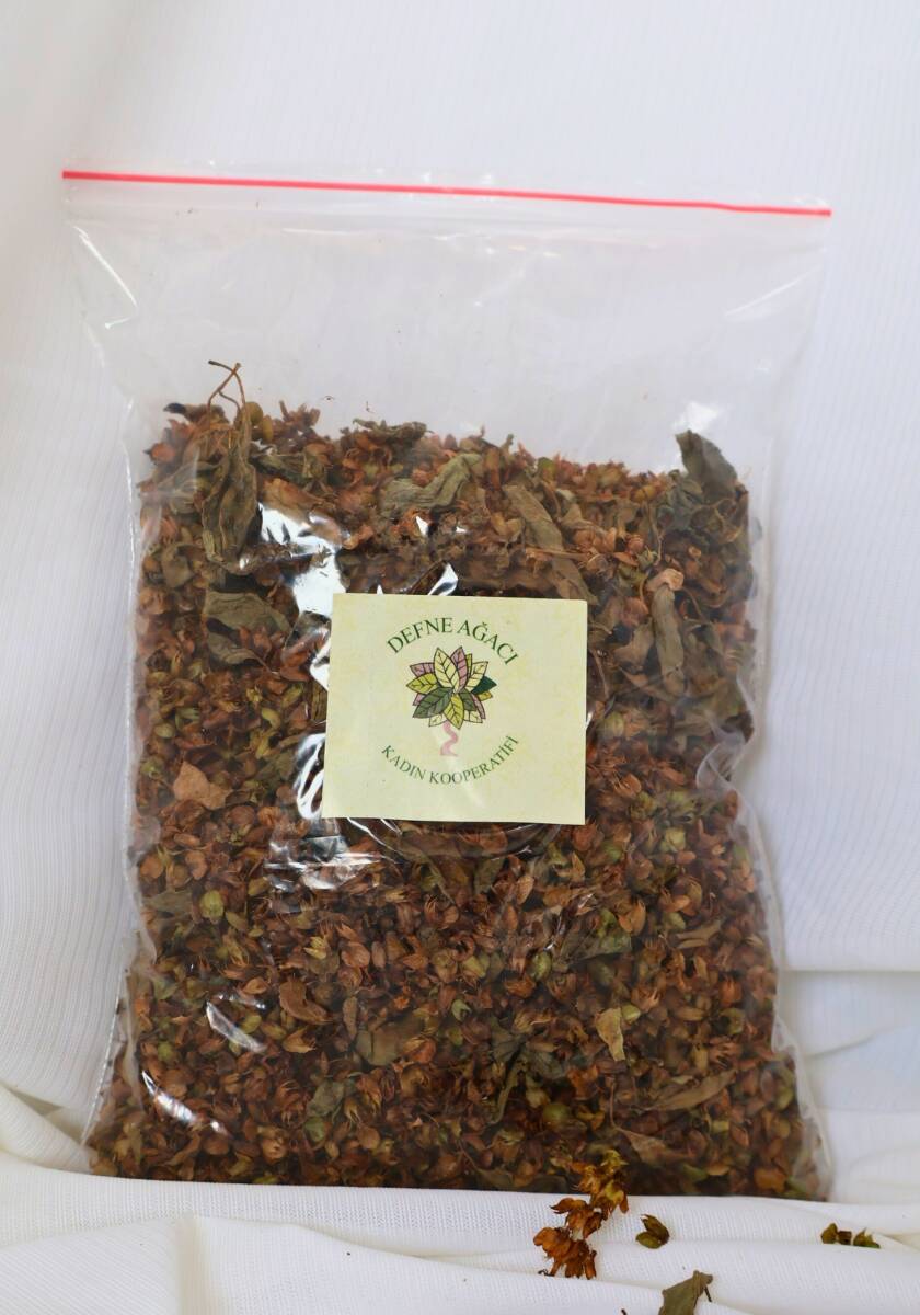 Fesleğen 50 gr - defne ağacı - 1