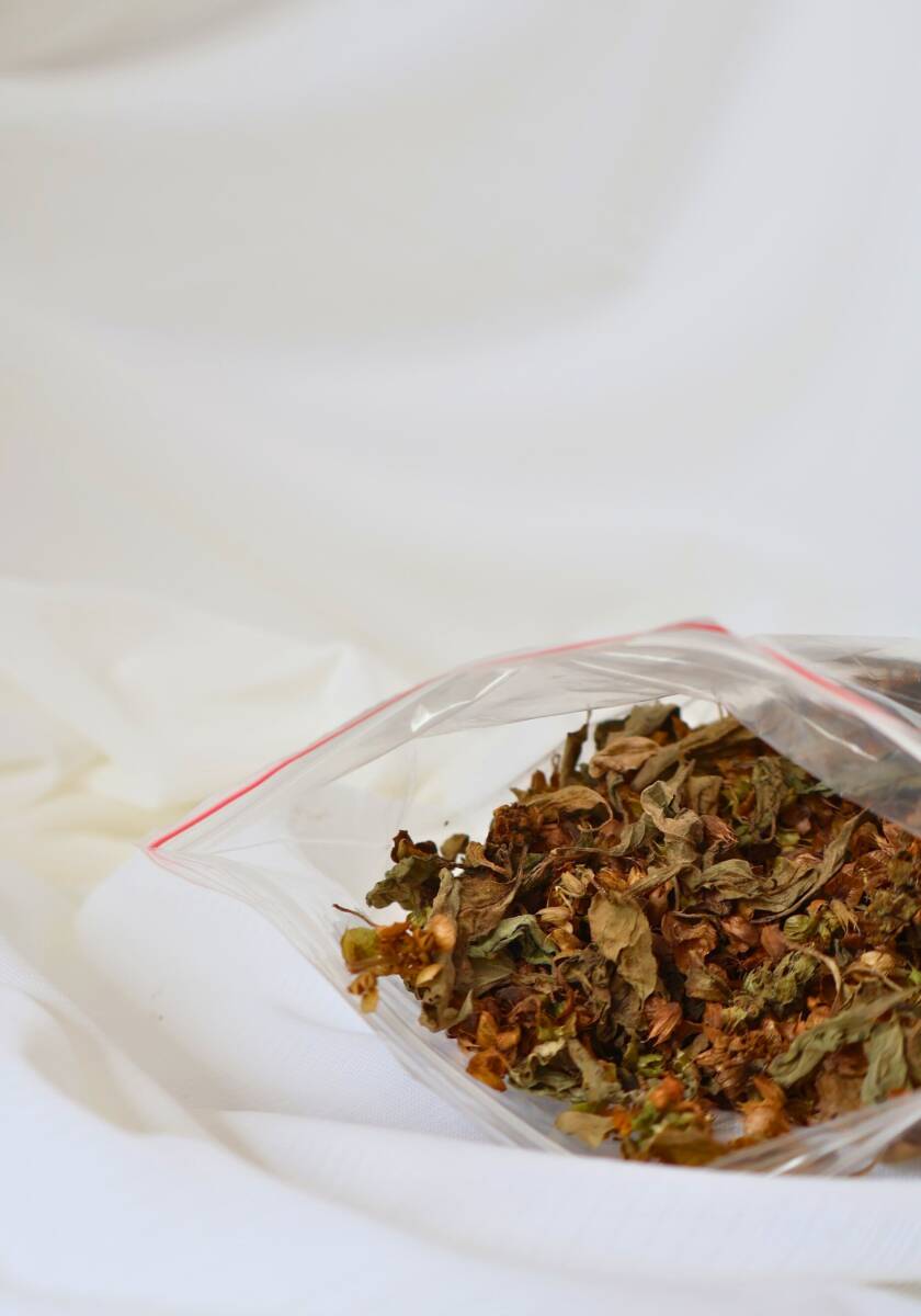 Fesleğen 50 gr - defne ağacı - 2