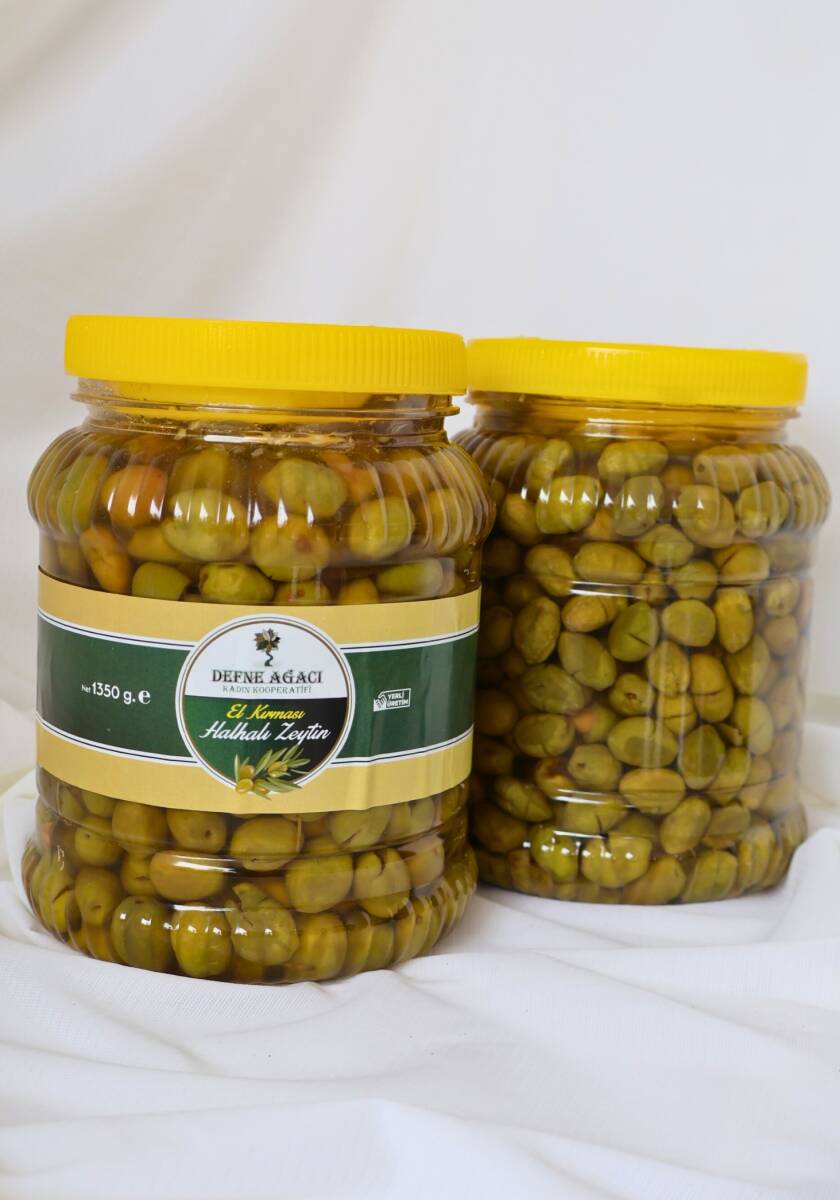Halhalı Zeytin 1 kl 35 gr - defne ağacı - 1