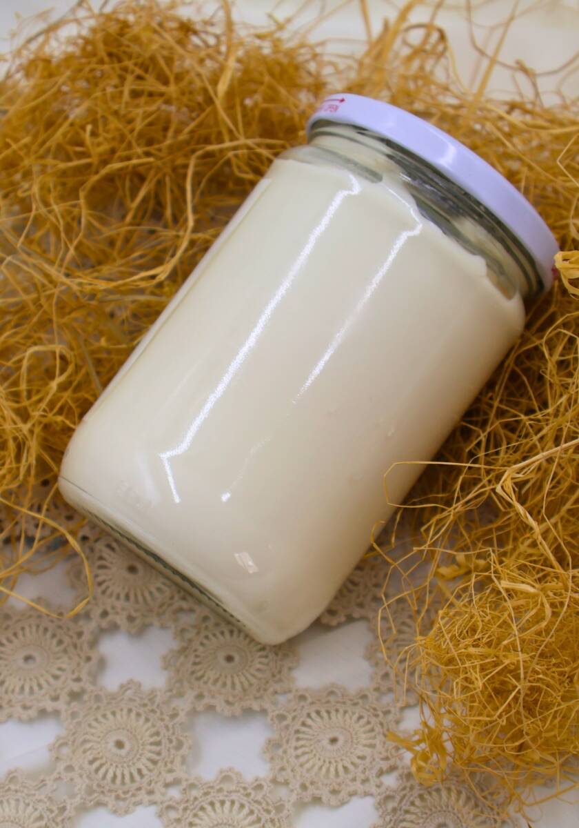 Tuzlu Yoğurt 570 gr- gökkuşağı kadın kooperatifi - 2
